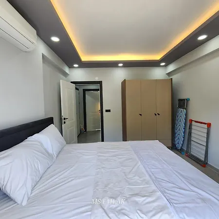 Blue Hause A4 *